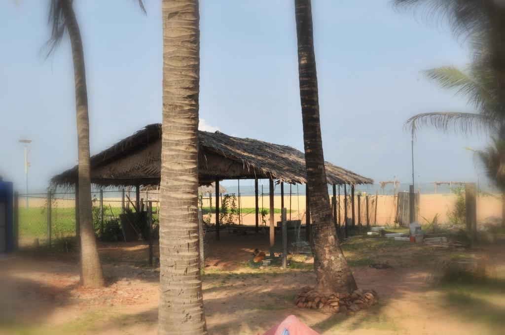 Tms Beach House Negombo Eksteriør billede